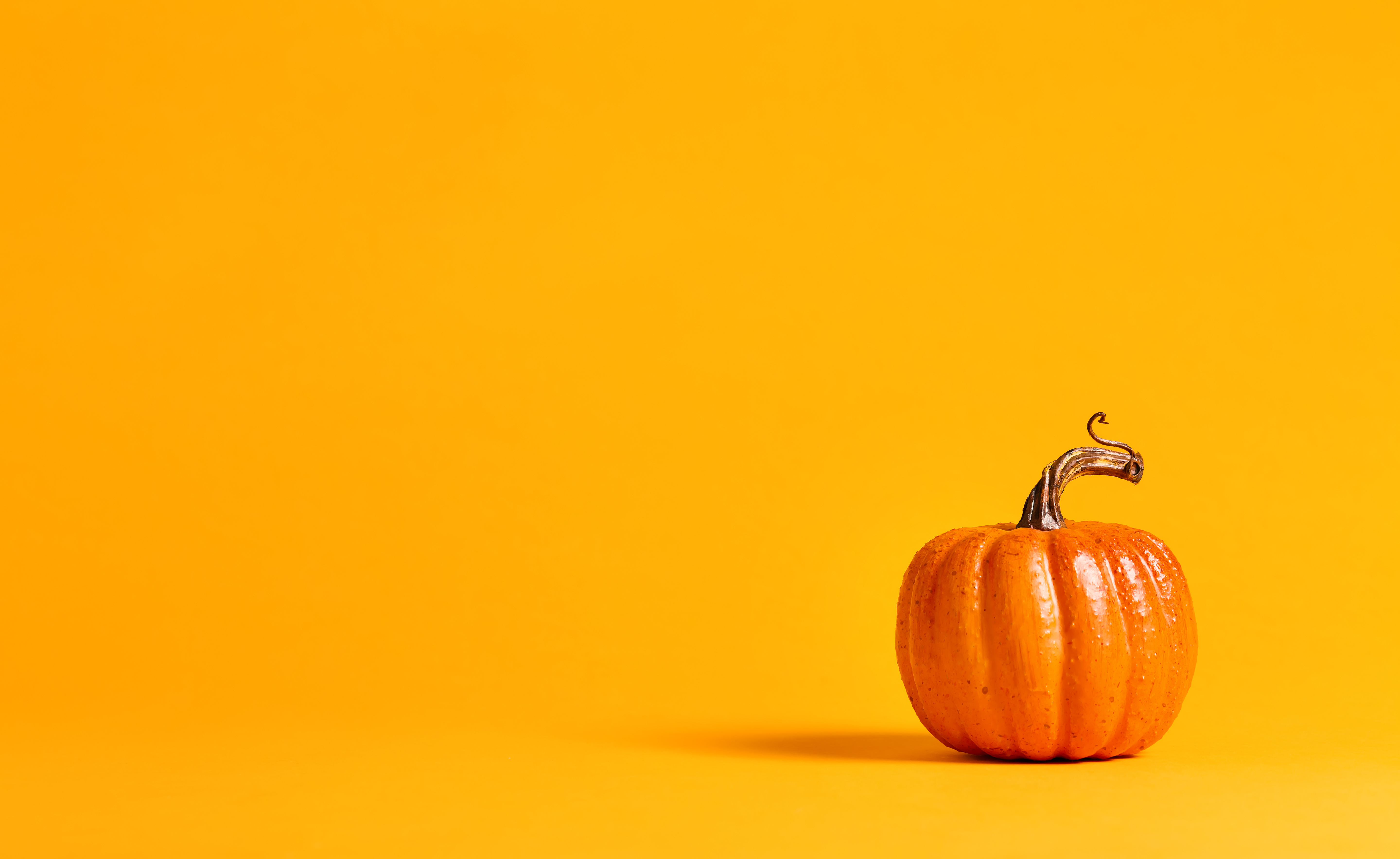 Halloween Pumpkin Business Invoice